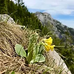 Activity Apartmán Radomlje