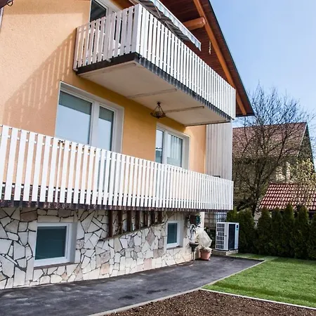 Activity Radomlje