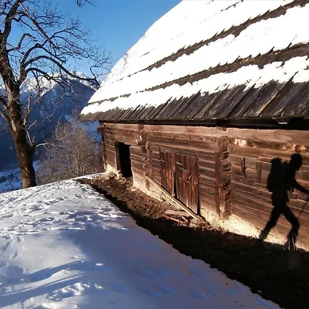 Activity * Radomlje
