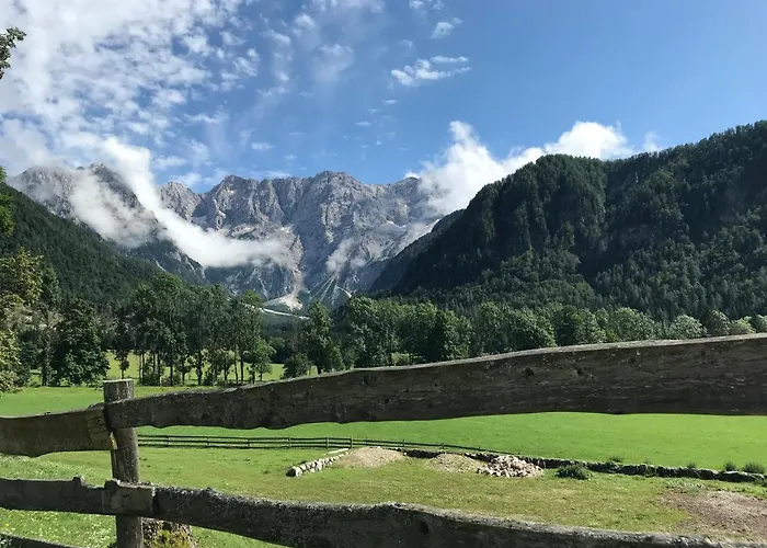 Apartmán Activity Radomlje