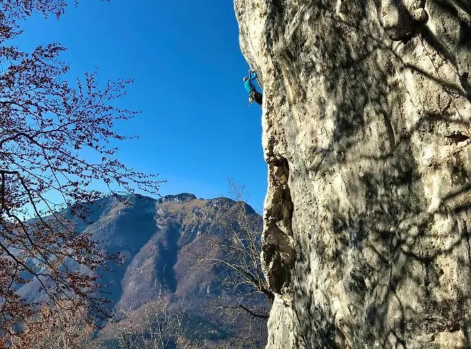 Activity Apartmán *